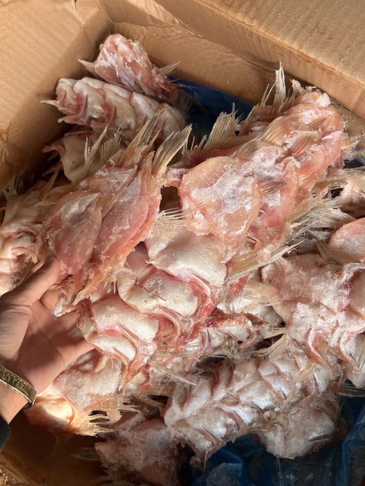 Ушки судака, плавники.