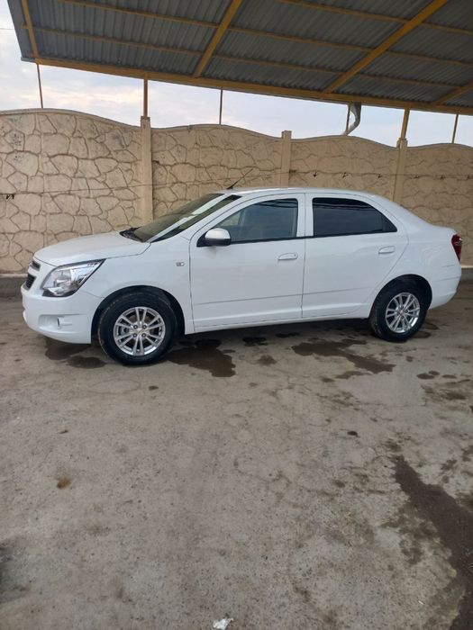 2025 kraska toza probek xalol metan bor