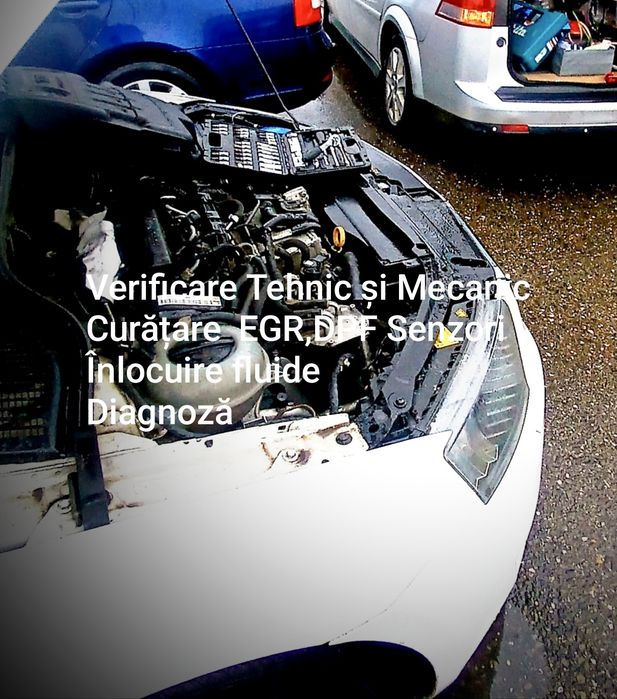 Curățare /Reparații Auto Mecanic-Electric ,EGR,DPF ,MAF,MAP ETC