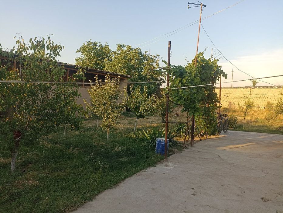 Dala hovli uchatska narxida