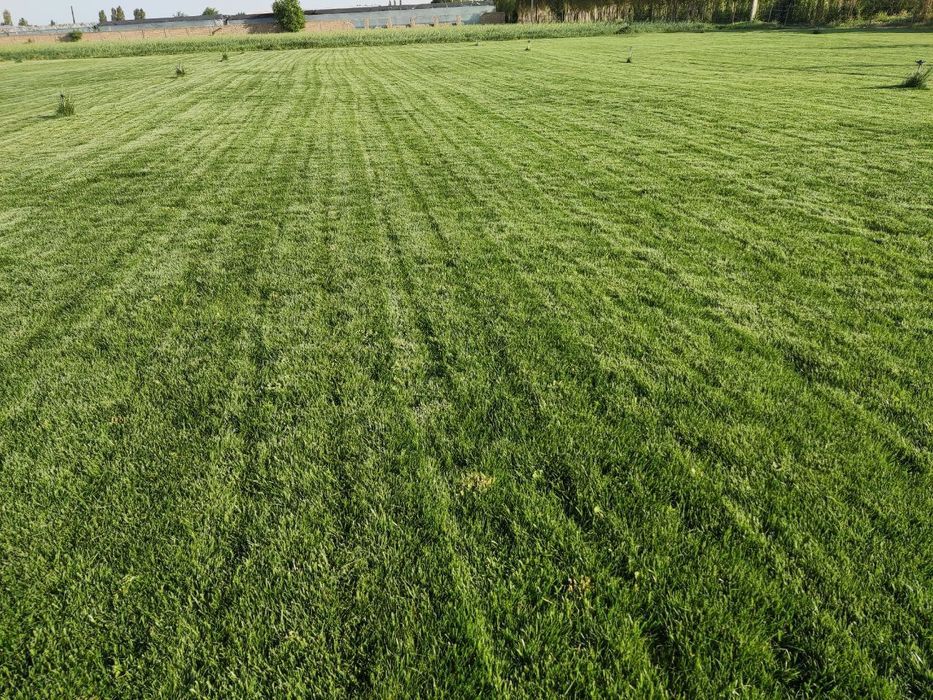 Диккат Еврогазонга КУЗГИ АКЦИЯ