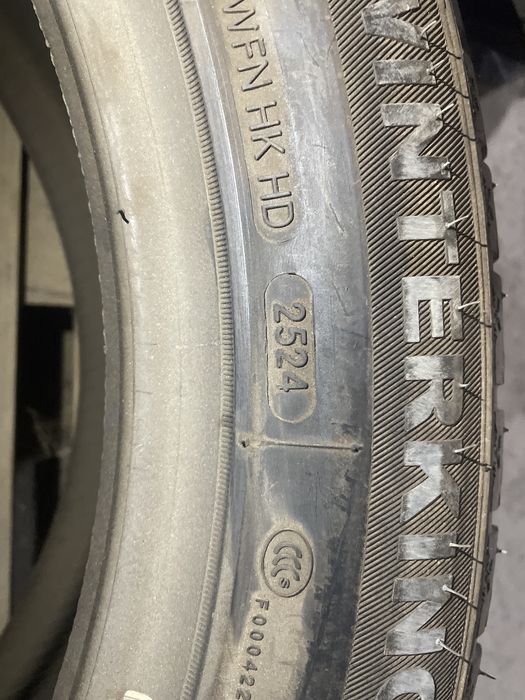 235,55,20 зим DouBlestar DW09