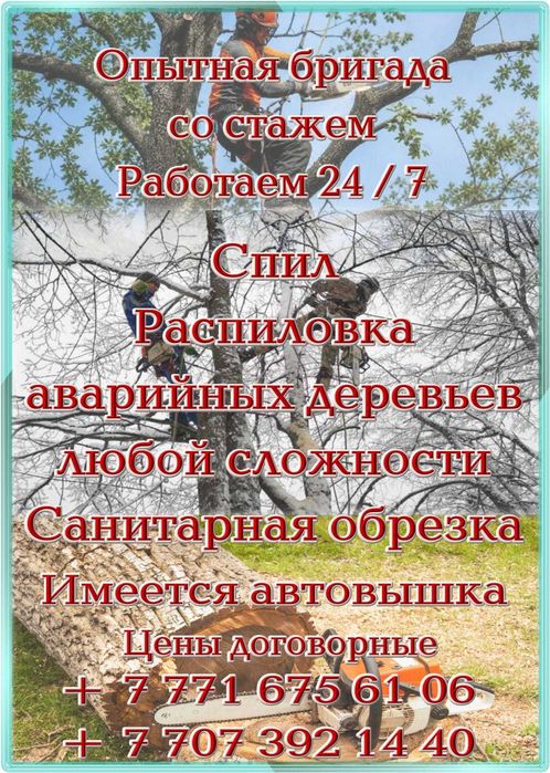 Пилим Деревья. Спилить. ЛЮБОЙ СЛОЖНОСТИ. Обрезаем. Ветки.