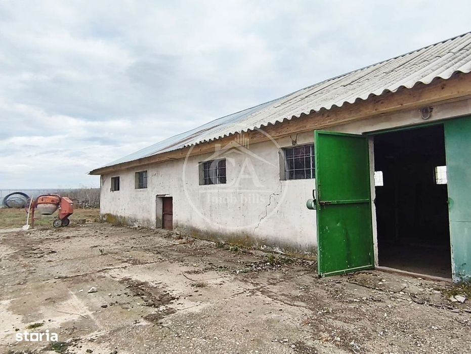 Hala de inchiriat in zona Tarian, Bihor