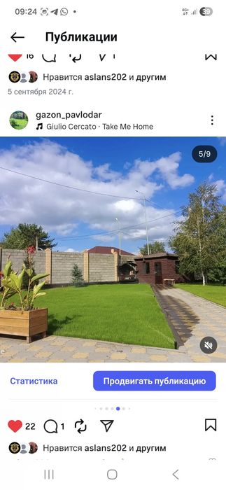 Семена газона , посадка газона