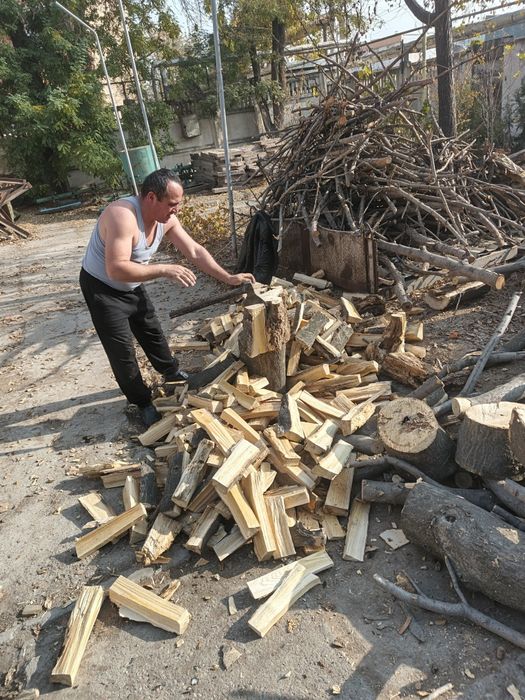 Сумалак учун утин otin дрова
