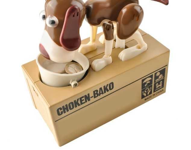 Касичка - коте и куче