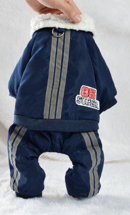 Зимен гащеризон за малка порода куче