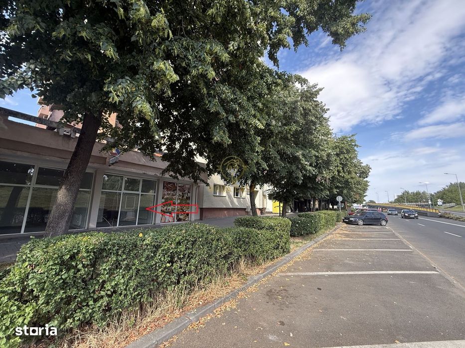 Spatii de Birouri/Comerciale de Inchiriat Bulevardul Transilvania