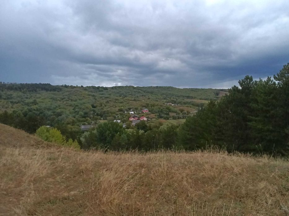 Casă la munte în Vizantea Mănăstirească – 2.000 mp teren, pârâu și pădure