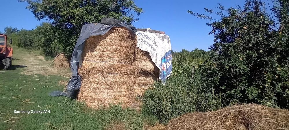 Baloți rotunzi 150