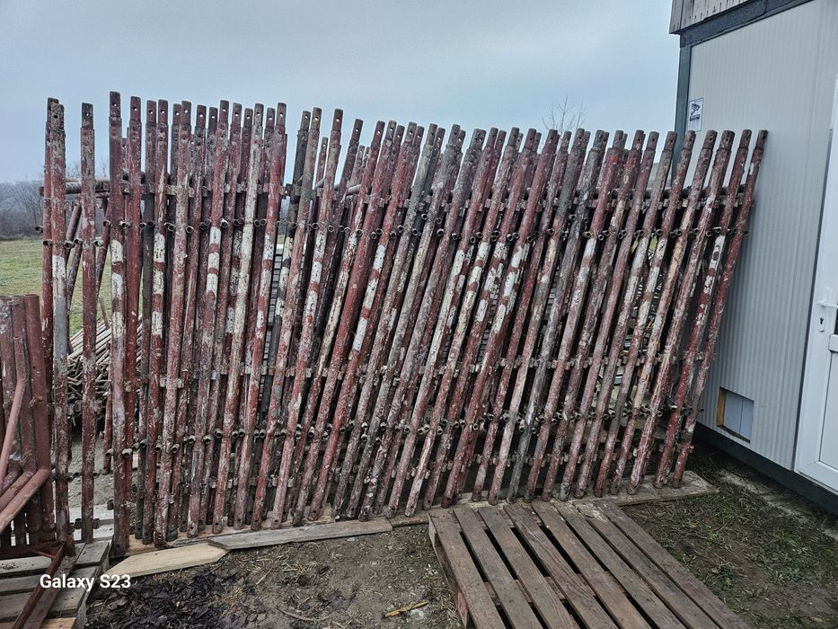 Vand Schela, popi morsete