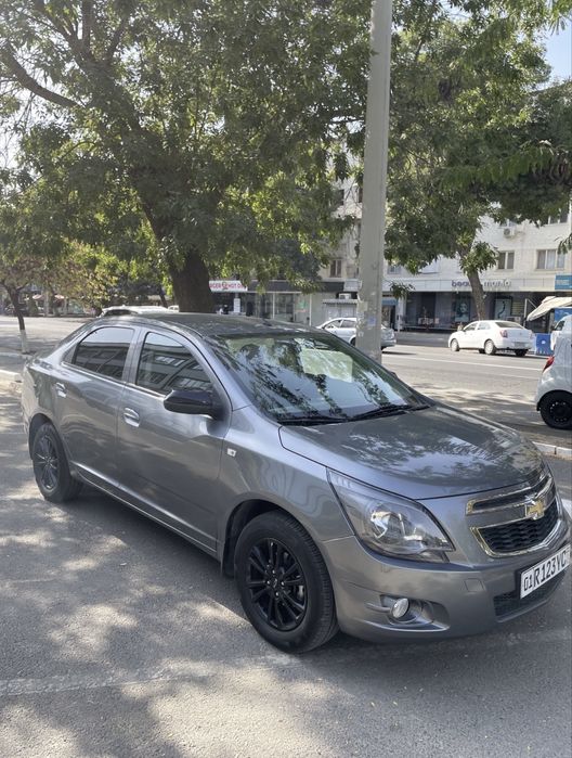 Cobalt Midnight 2025