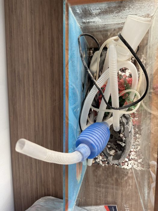 Аквариум без рыб все нудное есть