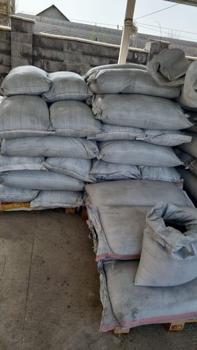 Семена люцерны Жонышқа ұрығы