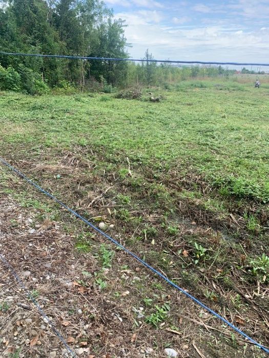 teren vanzare, Padurea Baneasa, Aleea Teisani, 900 mp, deschidere 24 m