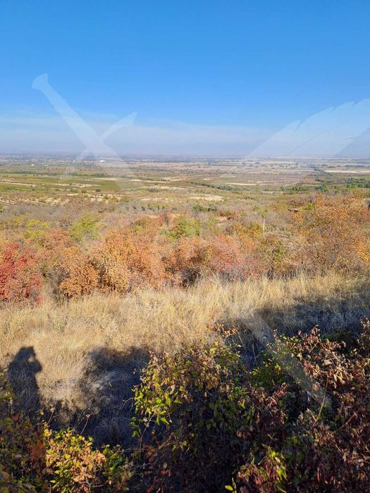 Продава се Земеделски имот в с. Брестовица, Област Пловдив -  кв.м за 5750 €/дка - Снимка #2