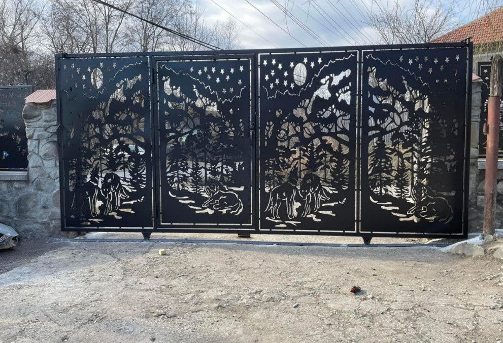 Poarta debitată la laser