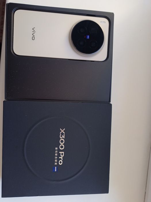 Vivo x300 Pro 12/256