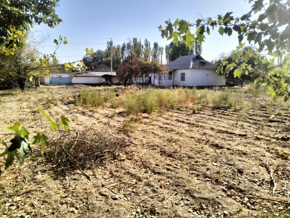 Тайёр уй. 20сотих. Тошкент вилоёти, Оққурғонда