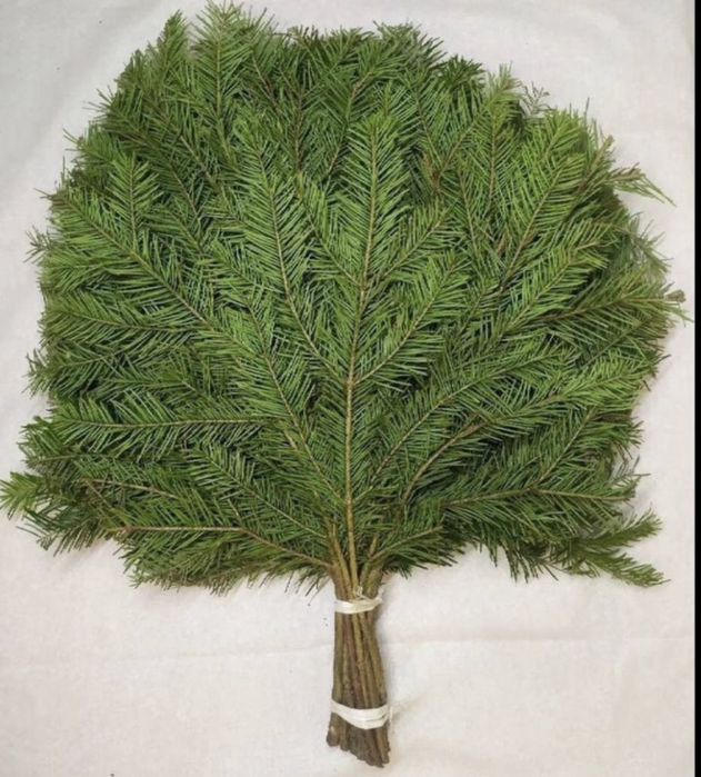 Веник пихта для бани