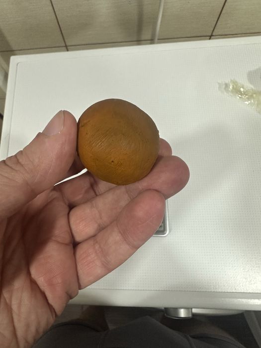 Желчный камень КРС