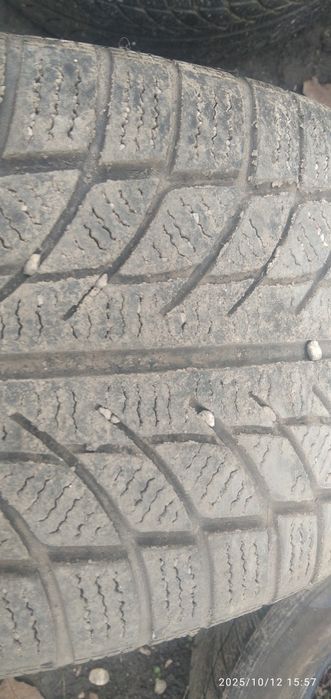 Cauciucuri iarna 215 55 16 seat alhambra Sharan