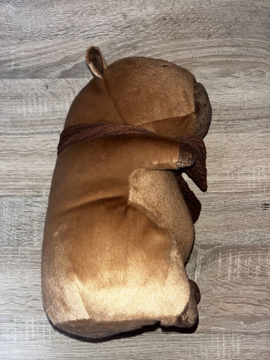 Vand plush capybara