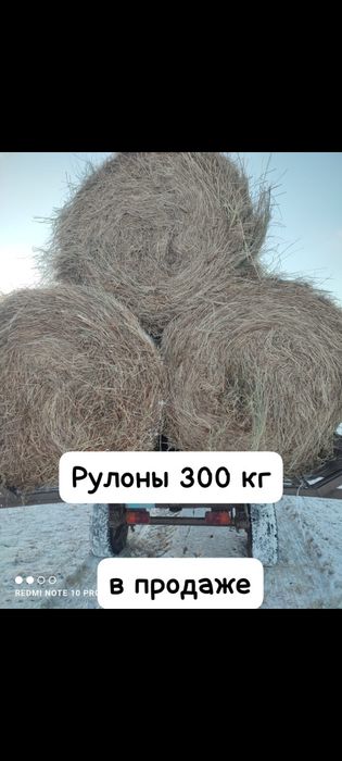 Сено луговое . рулон