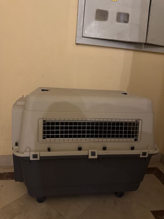 Клетка для животного