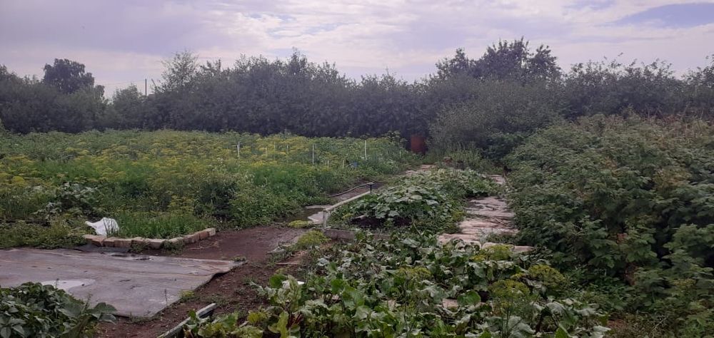 Продаем Дачу на Союзе