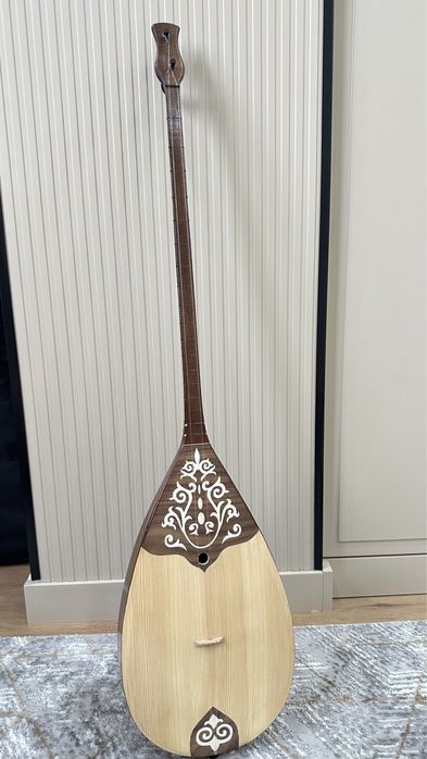 Домбыра чехолымен