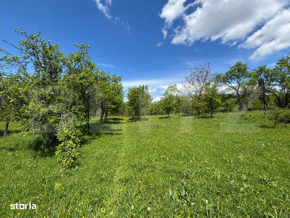 Teren intravilan 4.559 mp, zona Corbi – Corbsori