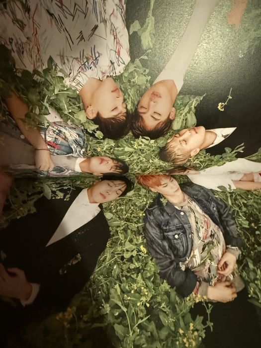 BTS официална книга