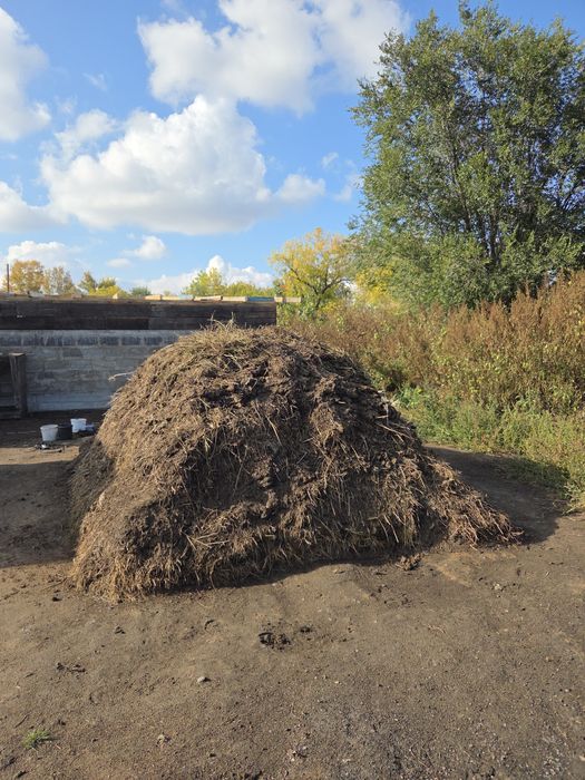 Отдаю бесплатно навоз