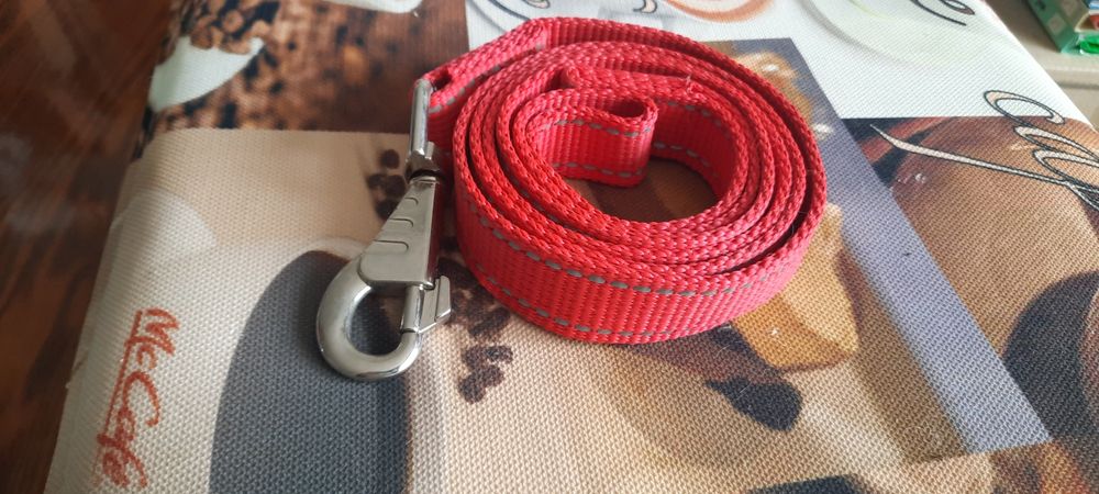 Амуниция для собак