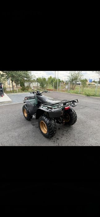 Vand Artic Cat BearCat 454