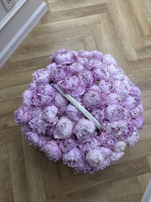 Цветы Пионы свежие