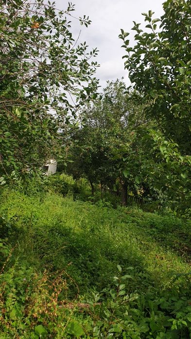 Продется дача в обществе спп металлург