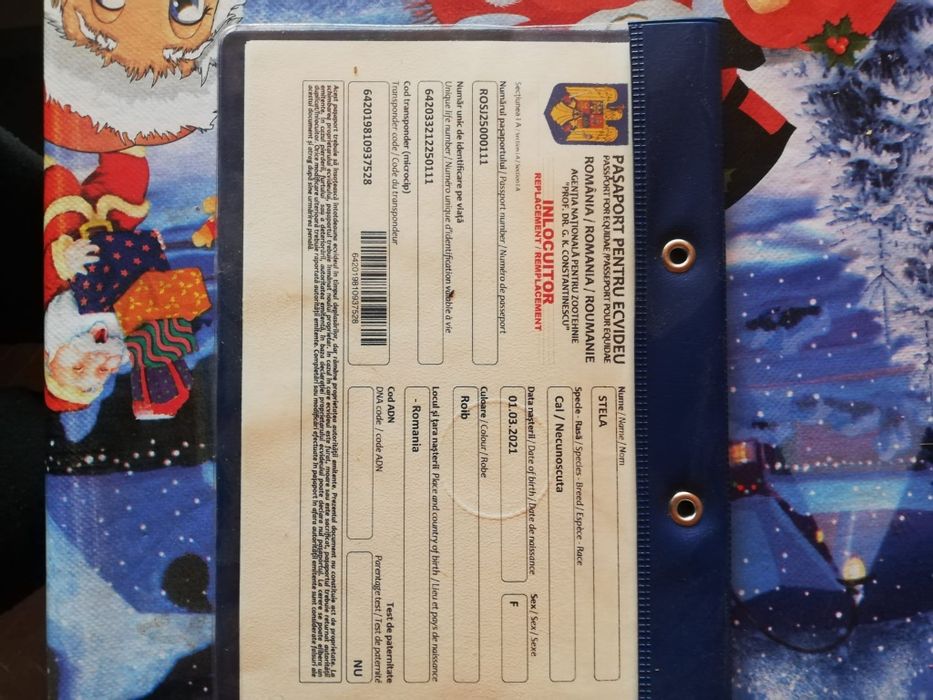 Vând o iapă de 6 ani