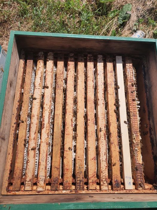 Мёд в широком Асортементее