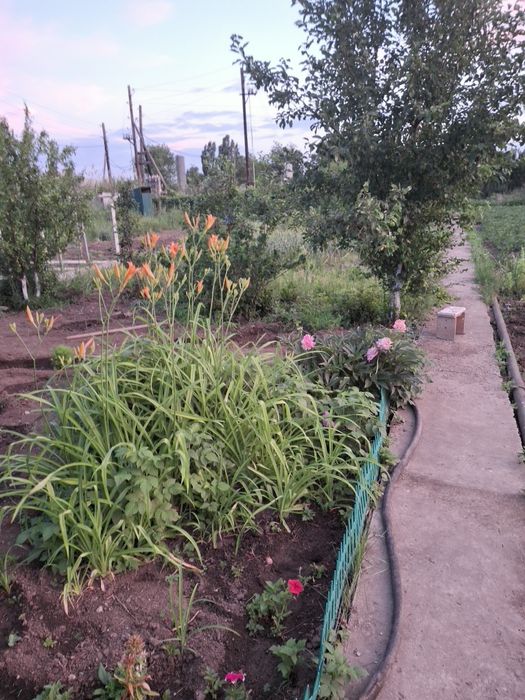 Продам дачу ск локомотивное 10