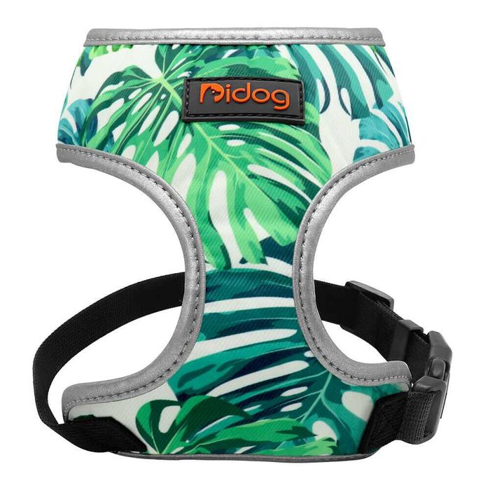 Ham Caine Talie Medie