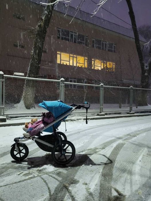 Thule Urban Glide 2 - сине-серая