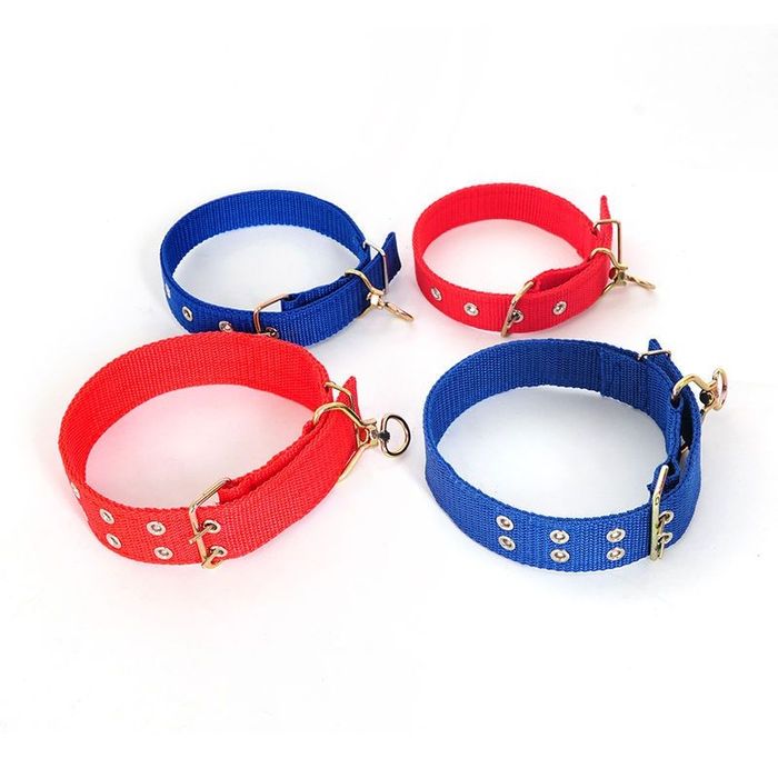 Ошейник  сатамын