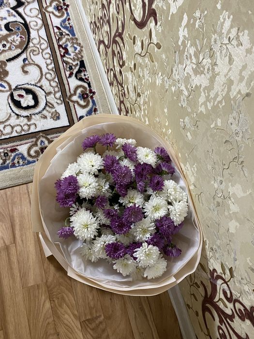 цветы жаксы сост