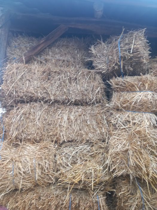 Baloti de paie de grau