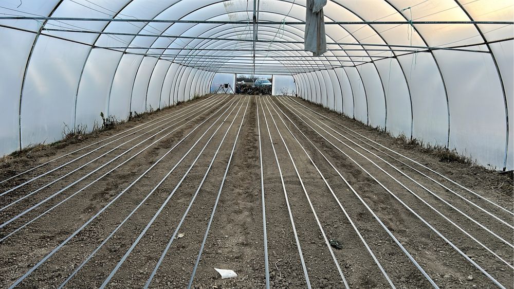 Arcade/solare la cheie