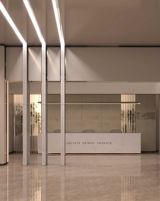 Design interior profesionist pentru afacerea ta