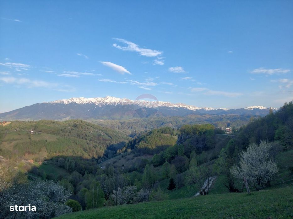 Teren 2,227mp Pestera / acces din Strada Principala